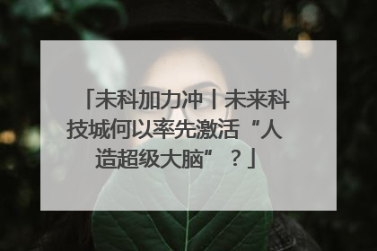 未科加力冲丨未来科技城何以率先激活“人造超级大脑”？