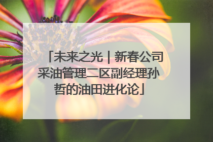 未来之光｜新春公司采油管理二区副经理孙哲的油田进化论