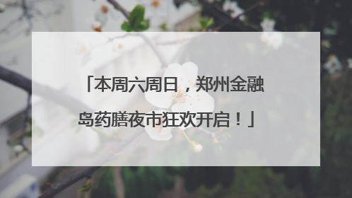 本周六周日，郑州金融岛药膳夜市狂欢开启！