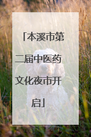 本溪市第二届中医药文化夜市开启