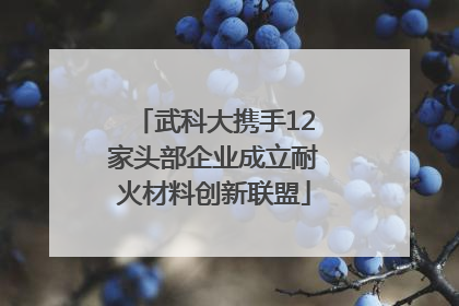武科大携手12家头部企业成立耐火材料创新联盟