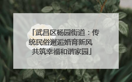 武昌区杨园街道：传统民俗邂逅婚育新风 共筑幸福和谐家园