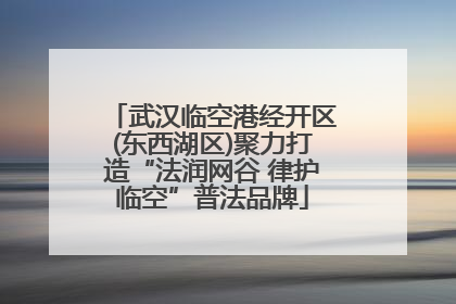 武汉临空港经开区(东西湖区)聚力打造“法润网谷 律护临空”普法品牌