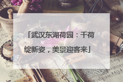 武汉东湖荷园：千荷绽新姿，美景迎客来