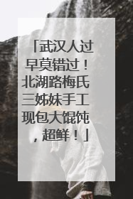 武汉人过早莫错过！北湖路梅氏三姊妹手工现包大馄饨，超鲜！