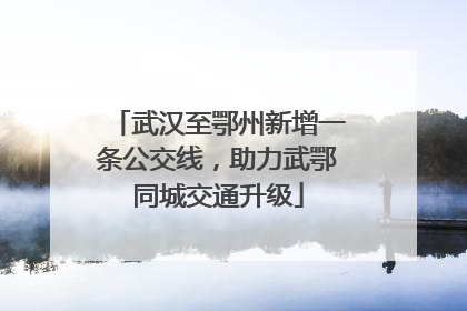 武汉至鄂州新增一条公交线，助力武鄂同城交通升级