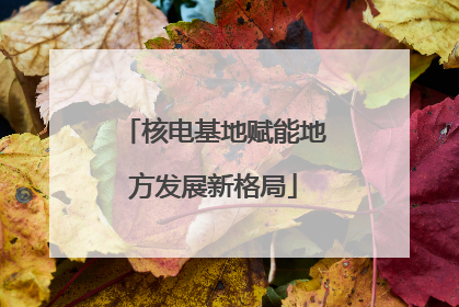 核电基地赋能地方发展新格局