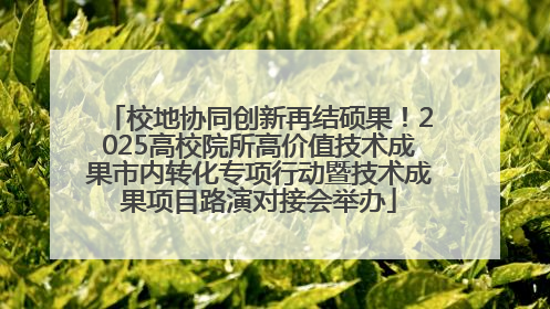 校地协同创新再结硕果！2025高校院所高价值技术成果市内转化专项行动暨技术成果项目路演对接会举办