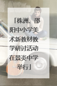 株洲、邵阳中小学美术新教材教学研讨活动在景炎中学举行