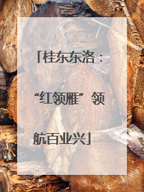 桂东东洛：“红领雁”领航百业兴
