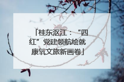 桂东沤江：“四红”党建领航绘就康氧文旅新画卷