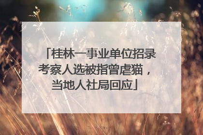 桂林一事业单位招录考察人选被指曾虐猫，当地人社局回应