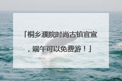 桐乡濮院时尚古镇官宣，端午可以免费游！