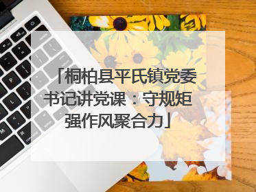 桐柏县平氏镇党委书记讲党课：守规矩强作风聚合力