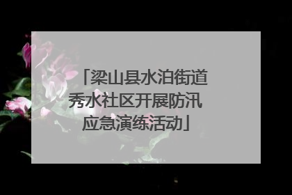梁山县水泊街道秀水社区开展防汛应急演练活动