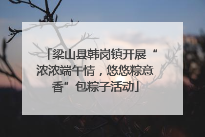梁山县韩岗镇开展“浓浓端午情，悠悠粽意香”包粽子活动
