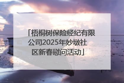 梧桐树保险经纪有限公司2025年妙墩社区新春慰问活动