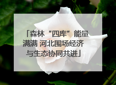 森林“四库”能量满满 河北围场经济与生态协同共进