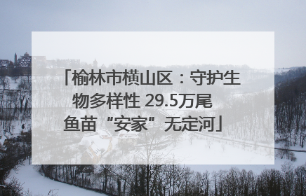 榆林市横山区：守护生物多样性 29.5万尾鱼苗“安家”无定河