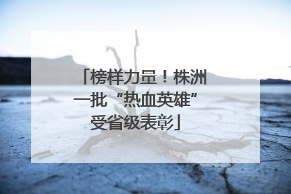 榜样力量！株洲一批“热血英雄”受省级表彰
