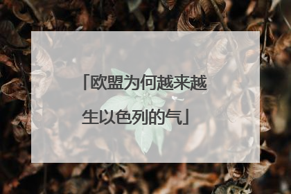 欧盟为何越来越生以色列的气