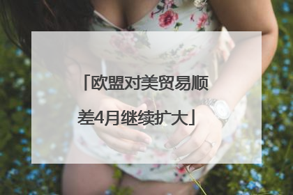 欧盟对美贸易顺差4月继续扩大