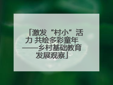激发“村小”活力 共绘多彩童年——乡村基础教育发展观察