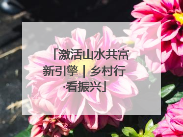 激活山水共富新引擎｜乡村行·看振兴