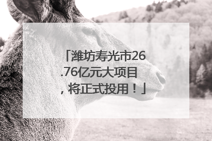 潍坊寿光市26.76亿元大项目，将正式投用！