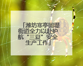 潍坊寒亭固堤街道全力以赴护航“三夏”安全生产工作