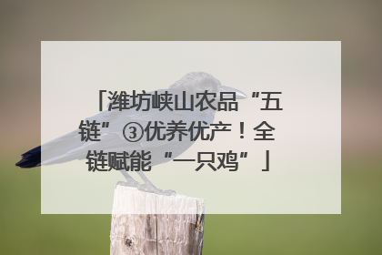 潍坊峡山农品“五链”③优养优产！全链赋能“一只鸡”