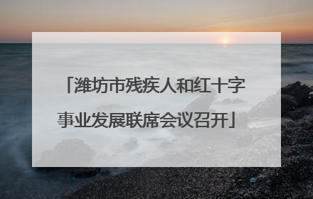 潍坊市残疾人和红十字事业发展联席会议召开