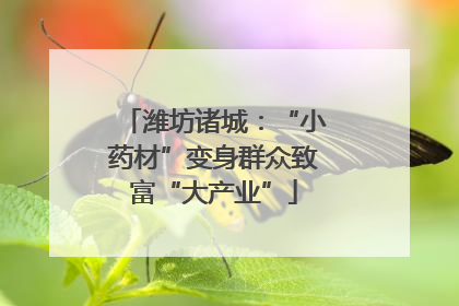 潍坊诸城：“小药材”变身群众致富“大产业”