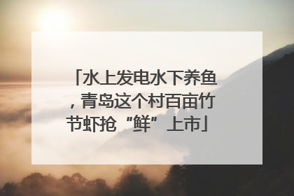 水上发电水下养鱼，青岛这个村百亩竹节虾抢“鲜”上市