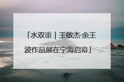 水双重｜王敏杰·余王波作品展在宁海启幕