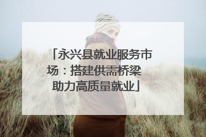 永兴县就业服务市场：搭建供需桥梁 助力高质量就业