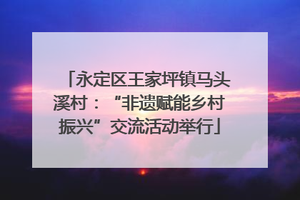 永定区王家坪镇马头溪村：“非遗赋能乡村振兴”交流活动举行