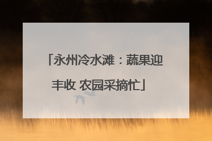 永州冷水滩：蔬果迎丰收 农园采摘忙