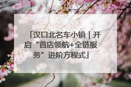 汉口北名车小镇｜开启“首店领航+全链服务”进阶方程式