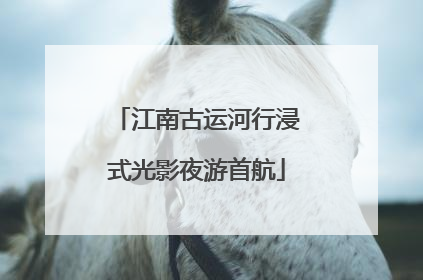 江南古运河行浸式光影夜游首航