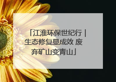江淮环保世纪行｜生态修复显成效 废弃矿山变青山