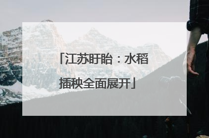 江苏盱眙：水稻插秧全面展开