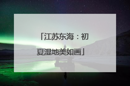 江苏东海：初夏湿地美如画