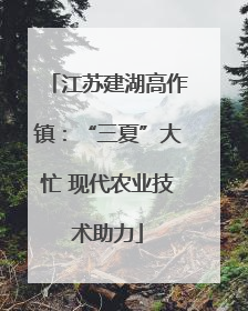 江苏建湖高作镇：“三夏”大忙 现代农业技术助力