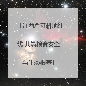 江西严守耕地红线 共筑粮食安全与生态根基