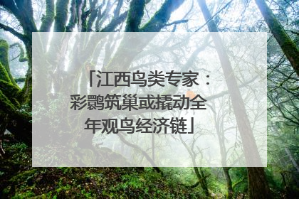 江西鸟类专家：彩鹮筑巢或撬动全年观鸟经济链