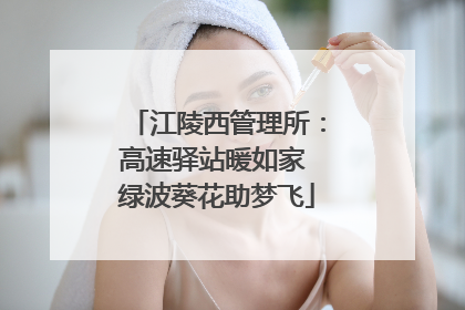 江陵西管理所：高速驿站暖如家 绿波葵花助梦飞