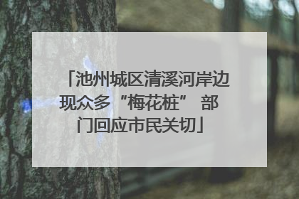 池州城区清溪河岸边现众多“梅花桩” 部门回应市民关切