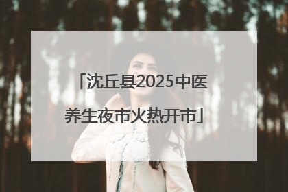 沈丘县2025中医养生夜市火热开市