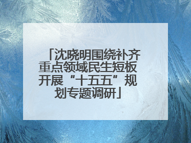 沈晓明围绕补齐重点领域民生短板开展“十五五”规划专题调研